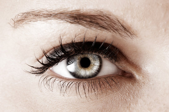 Auge blau