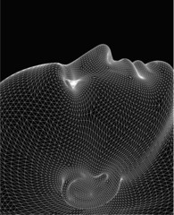 wireframe head