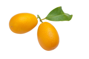 kumquats on white background