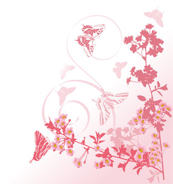 pink cherry tree branches and butterflies