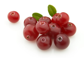 Fresh cranberry