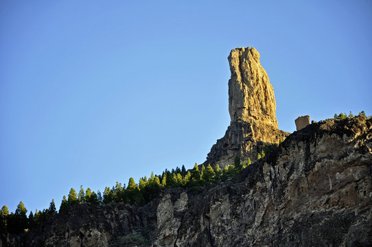 Monolith