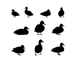 10 duck silhouette