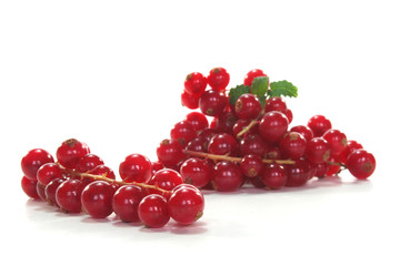 Johannisbeeren