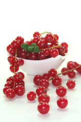 Johannisbeeren