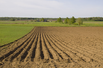 The ploughed field