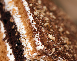 The Prague striped pie with chocolate.