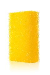 isolated sponge with shallow DOF