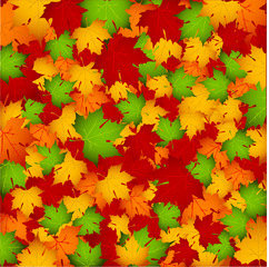 Naklejka na ściany i meble Autumn leaves, background