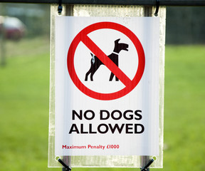 No Dogs Allowed