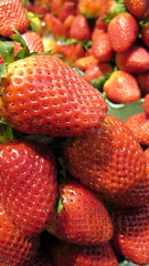 Frische Erdbeeren