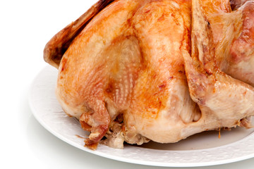 Whole roast turkey on white background