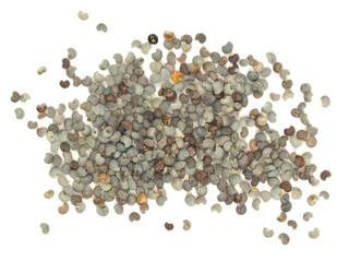 Macro photo of poppy seeds isolated on white