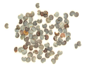 Macro photo of poppy seeds isolated on white