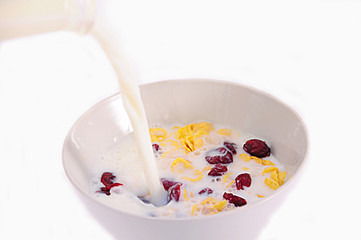 Milk with Cranberry and corn flex