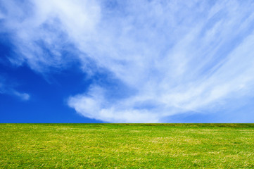 Fototapeta premium EN EL CAMPO