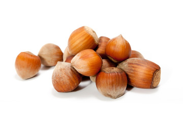 hazelnuts on a white background