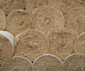 round hay bales