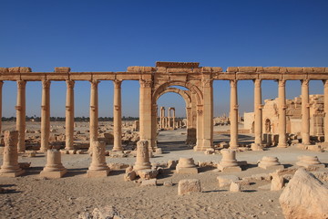 Fototapeta premium Palmyra