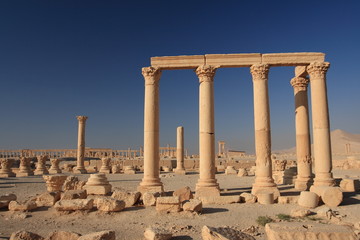 Fototapeta premium Palmyra