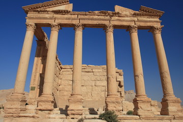 Obraz premium Palmyra