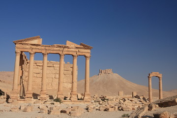 Palmyra