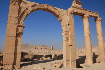 Fototapeta premium Palmyra