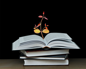 Tree growing from open book