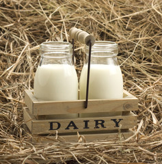 Fresh milk from dairy on haystack
