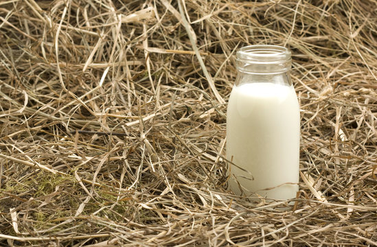 Bottle with milk on haystack