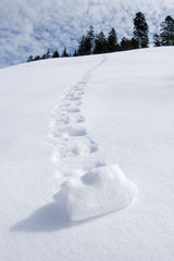 Schneeballeffekt