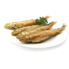 Europäische Stint Fisch (Osmerus eperlanus)