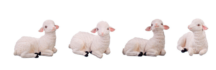 toy sheep © Anna Łotowska