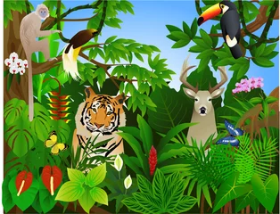 Peel and stick wall murals Zoo Wild animal in the tropical jungle