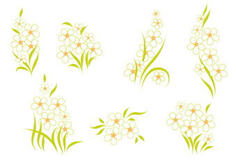 Arrangement of flowers