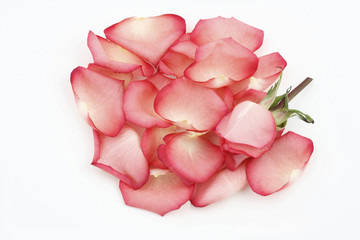 A Carpet Of Rose Petals