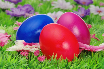 Ostereier auf Blumenwiese - easter eggs on flower meadow 01