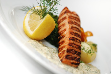 Salmon