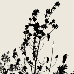 vector flower background