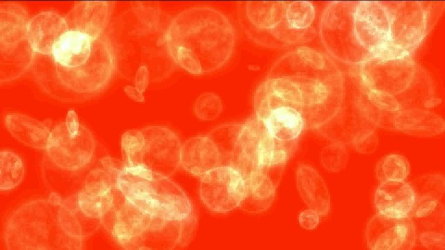 3d animation of cells