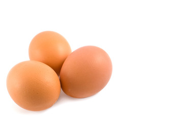 eggs