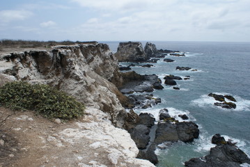 Fototapeta na wymiar Galapagos