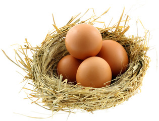 nid, oeufs fermier, fond blanc