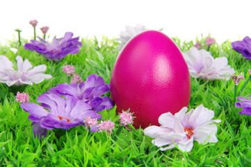 Ostereier auf Blumenwiese - easter eggs on flower meadow 10