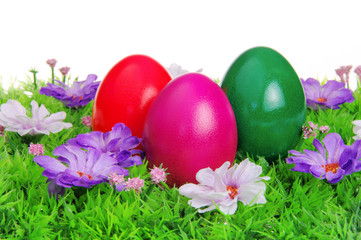 Ostereier auf Blumenwiese - easter eggs on flower meadow 11