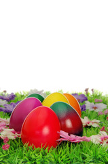 Fototapeta na wymiar Ostereier auf Blumenwiese - easter eggs on flower meadow 23