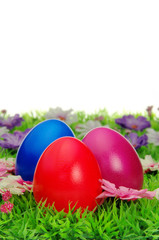 Ostereier auf Blumenwiese - easter eggs on flower meadow 24
