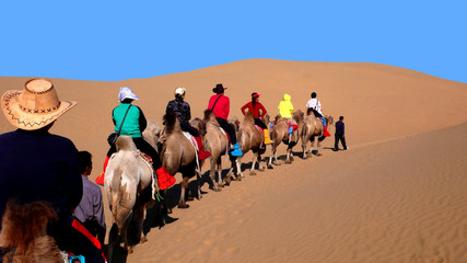 駱駝隊は砂漠を行く