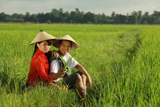asian farmer at rice field