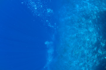 Fototapeta na wymiar Bubbles from big blue